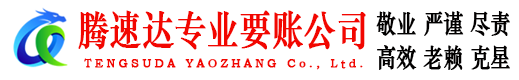 茂南腾速达清债公司